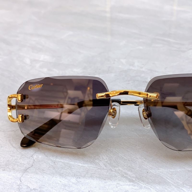 Cartier Sunglasses